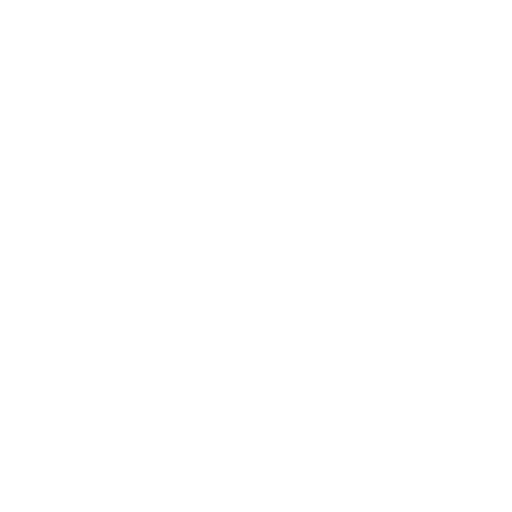 medal icon