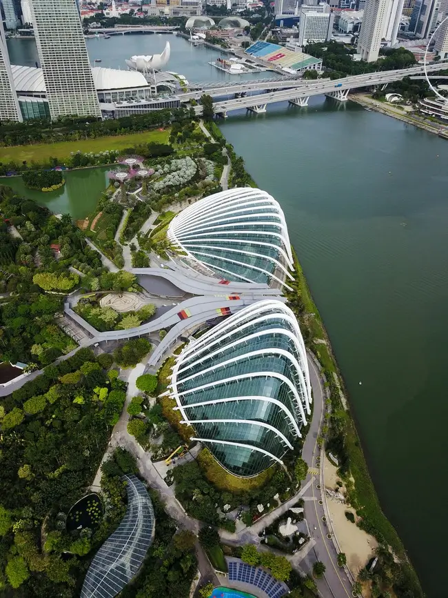 достопримечательности сингапура-Парк «Сады у залива» (Gardens by the Bay)