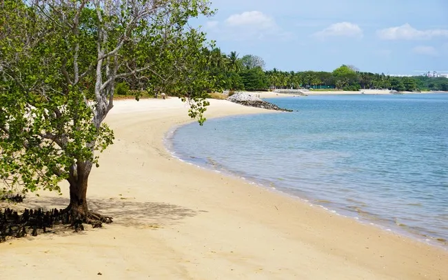 Beaches in Singapore-Pasir Ris Beach